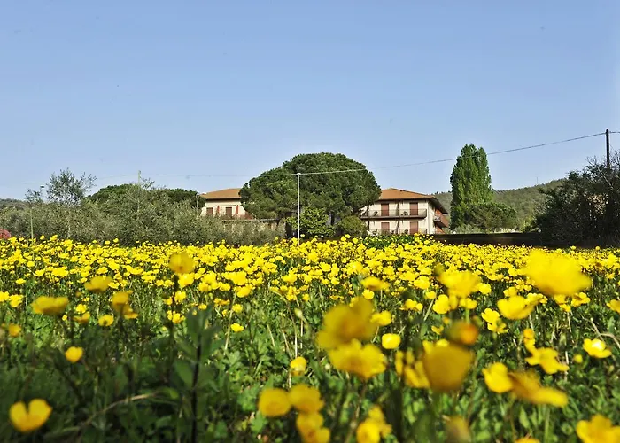 Hotel Torricella Magione