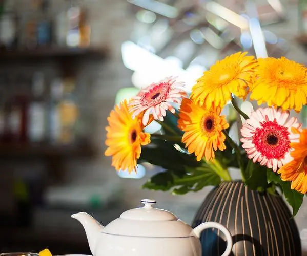 Hotel Torricella Magione